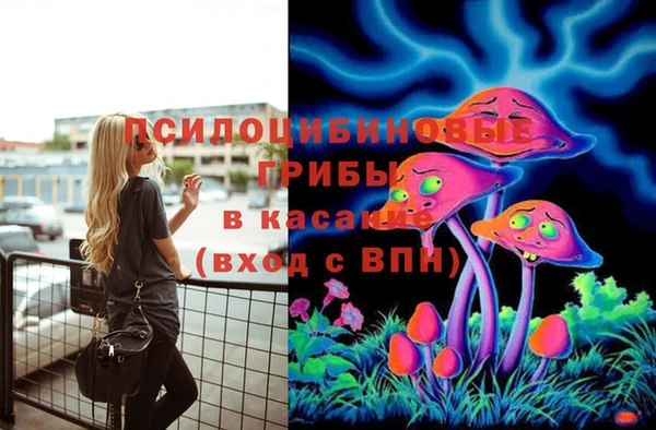 тгк Струнино