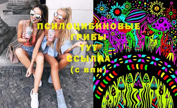 тгк Струнино