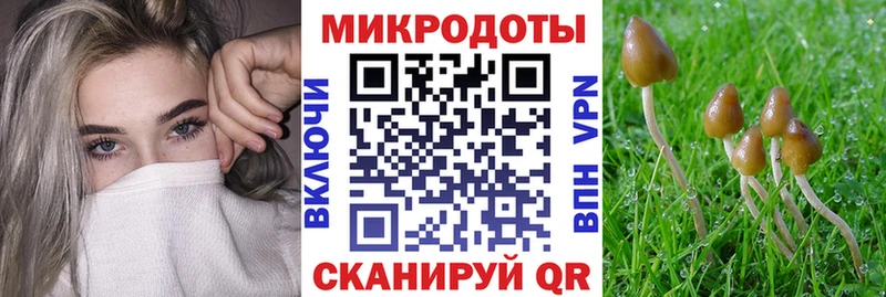 Галлюциногенные грибы мухоморы  Истра 